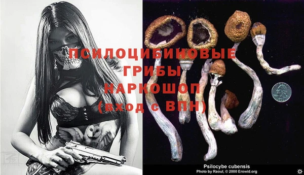 ECSTASY Зерноград